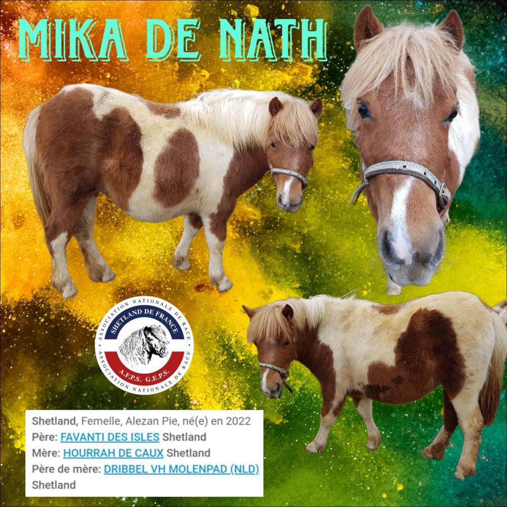 MIKA DE NATH